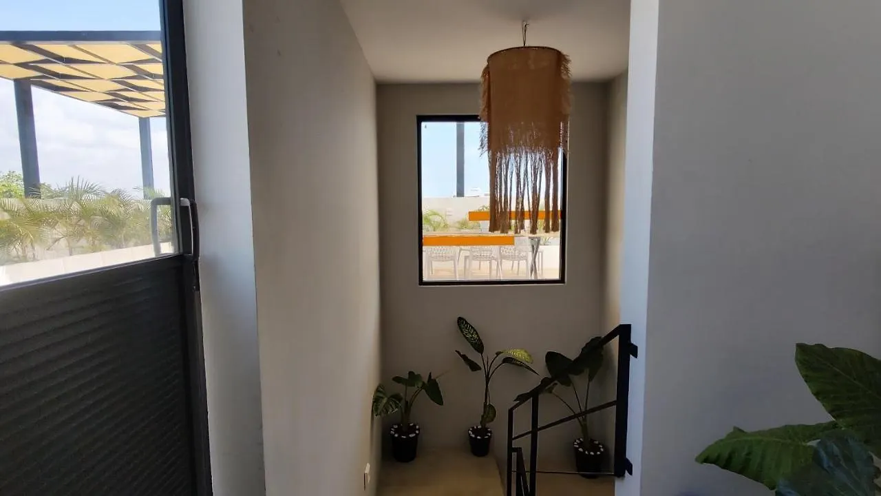 신데 델 카르멘 Amaite Living 아파트 멕시코